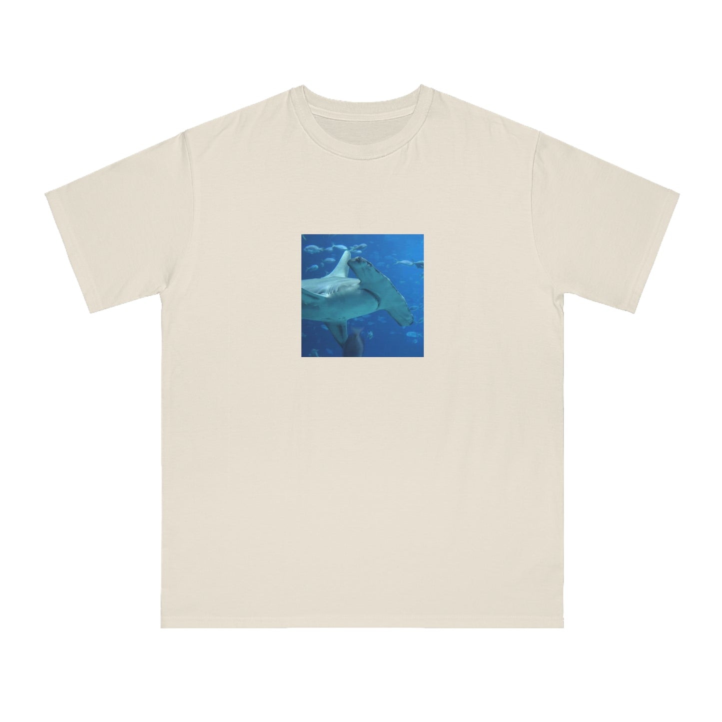 Hammerhead Shark