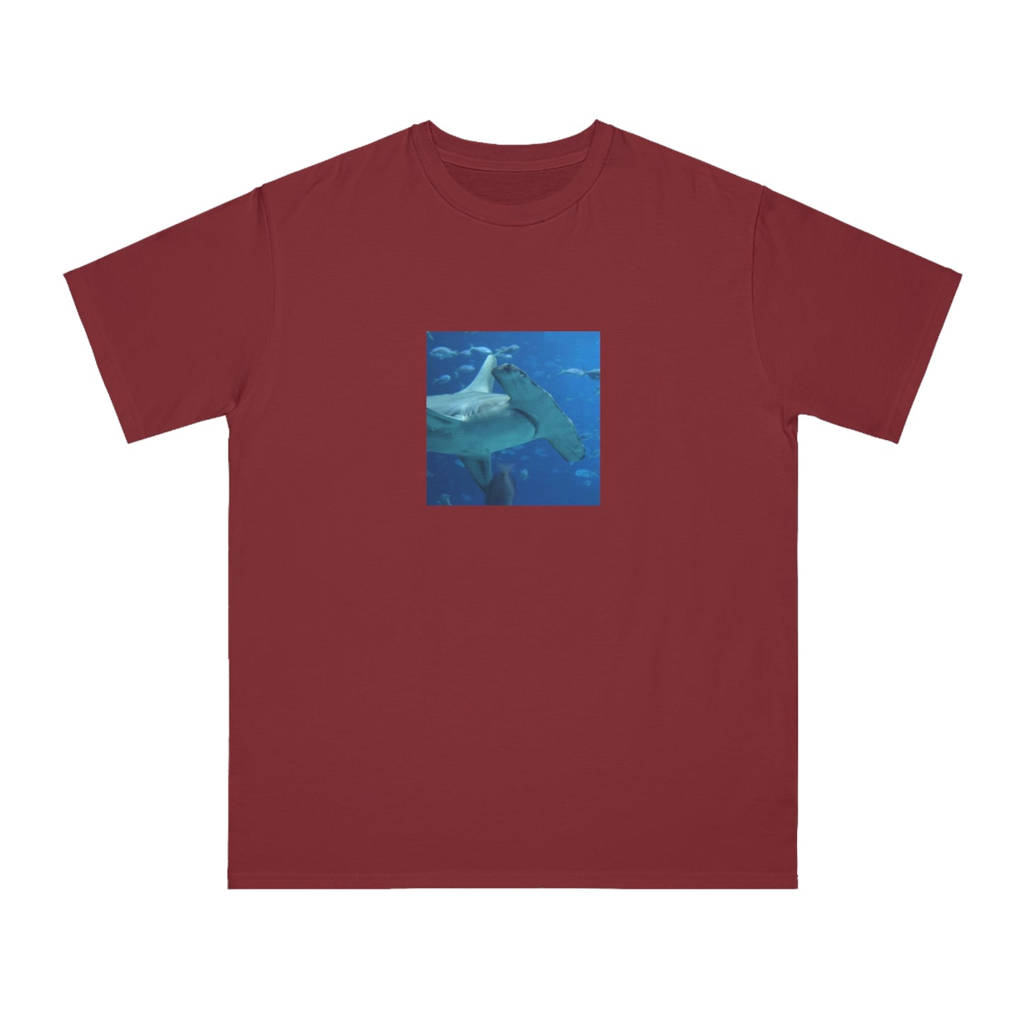 Hammerhead Shark