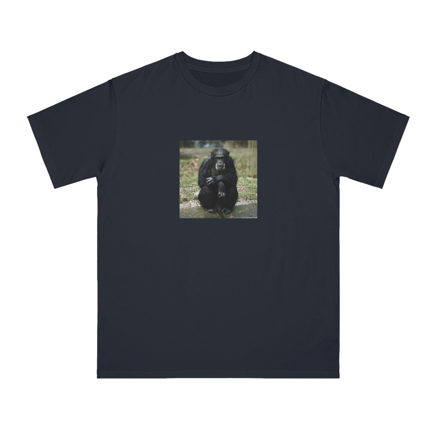 Chimpanzee