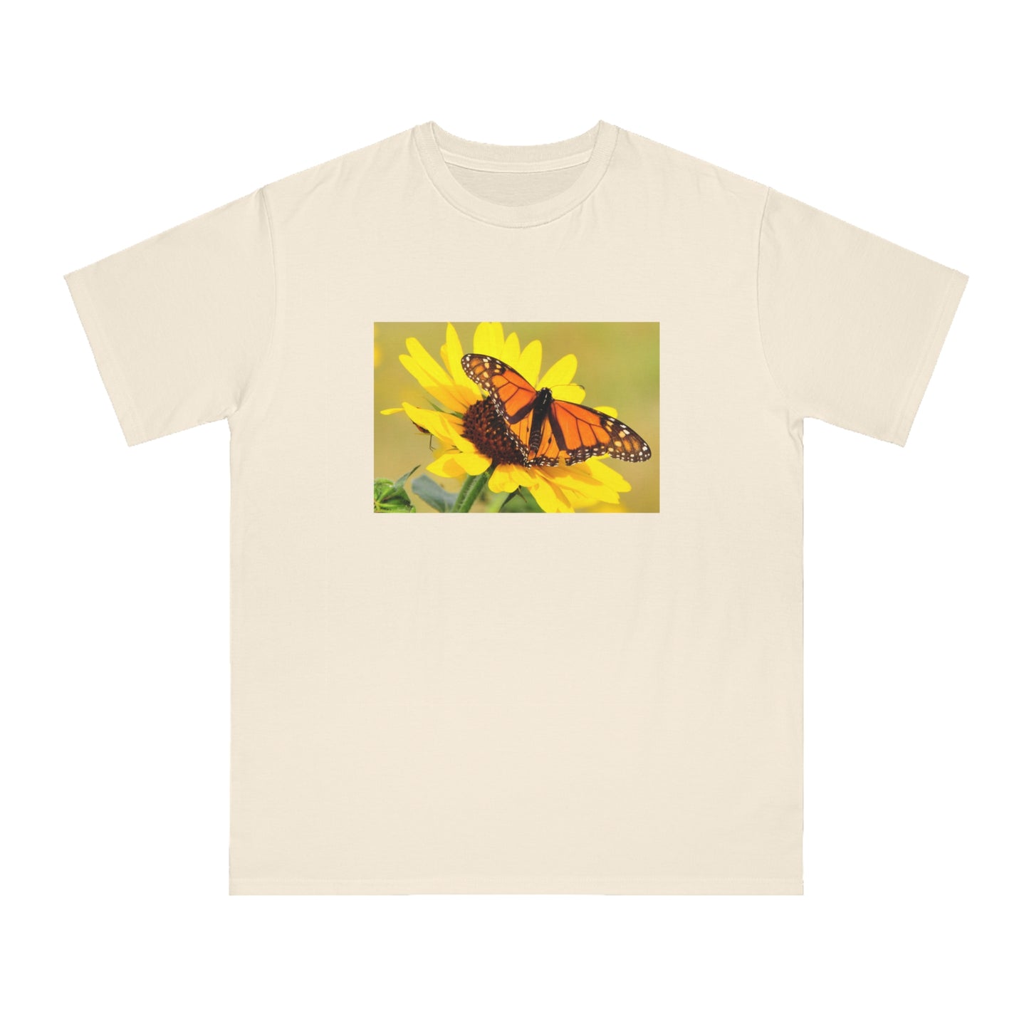 Monarch Butterfly