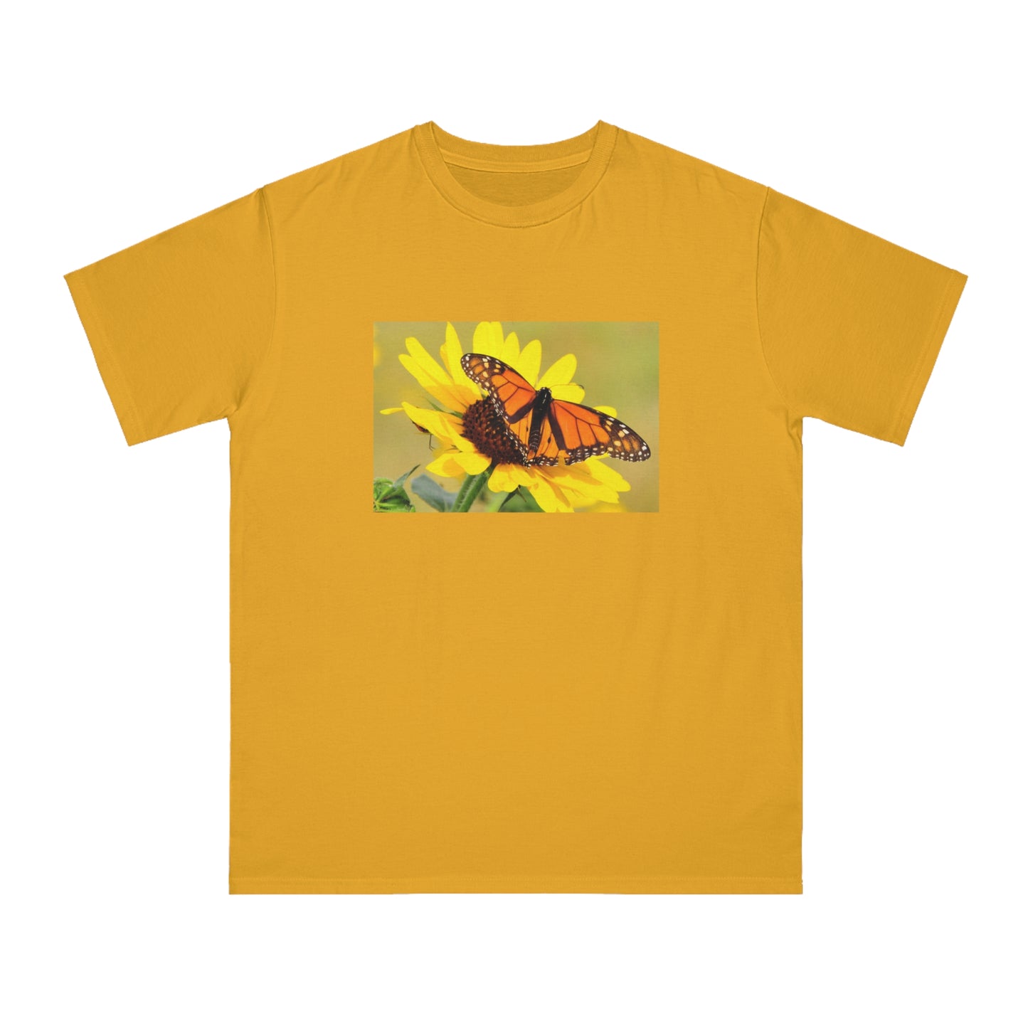 Monarch Butterfly