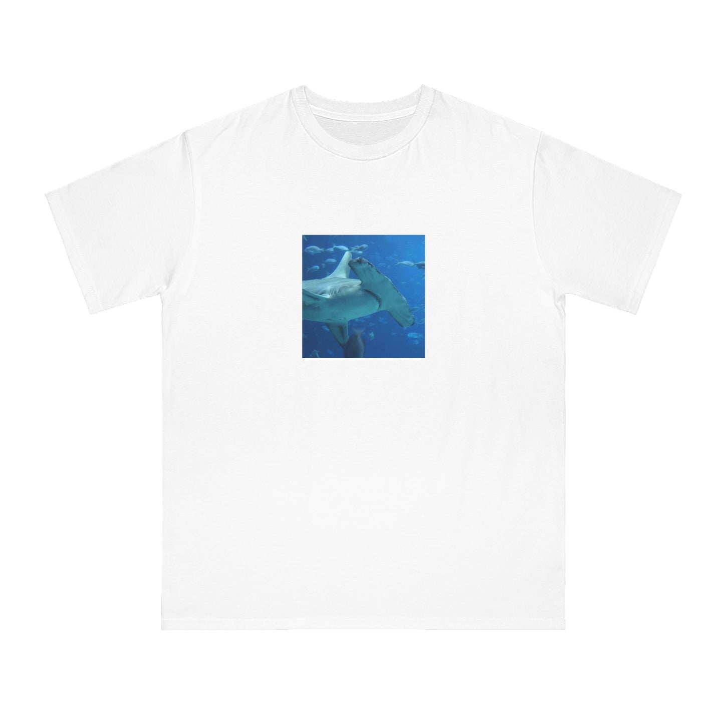 Hammerhead Shark