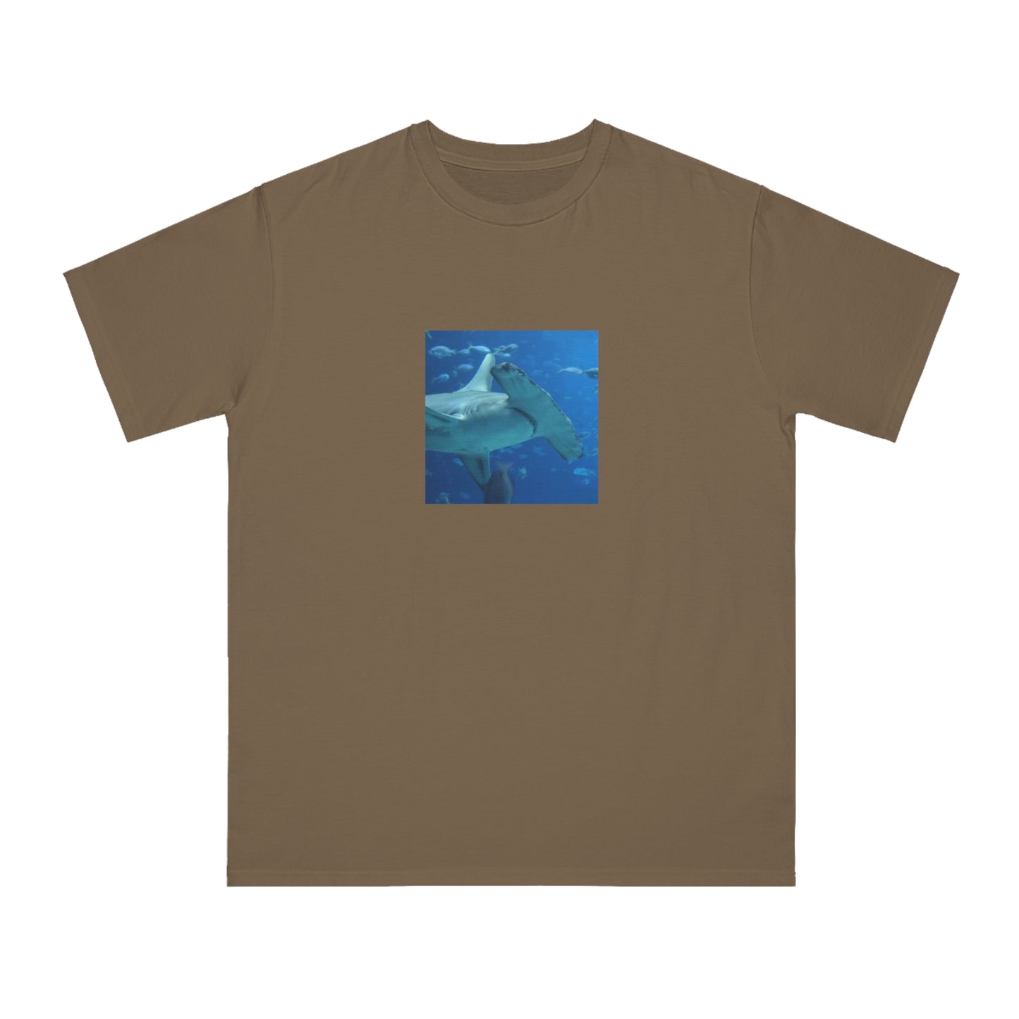 Hammerhead Shark