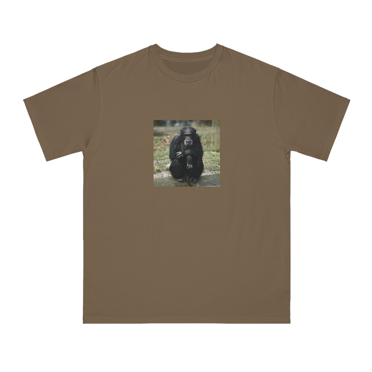 Chimpanzee