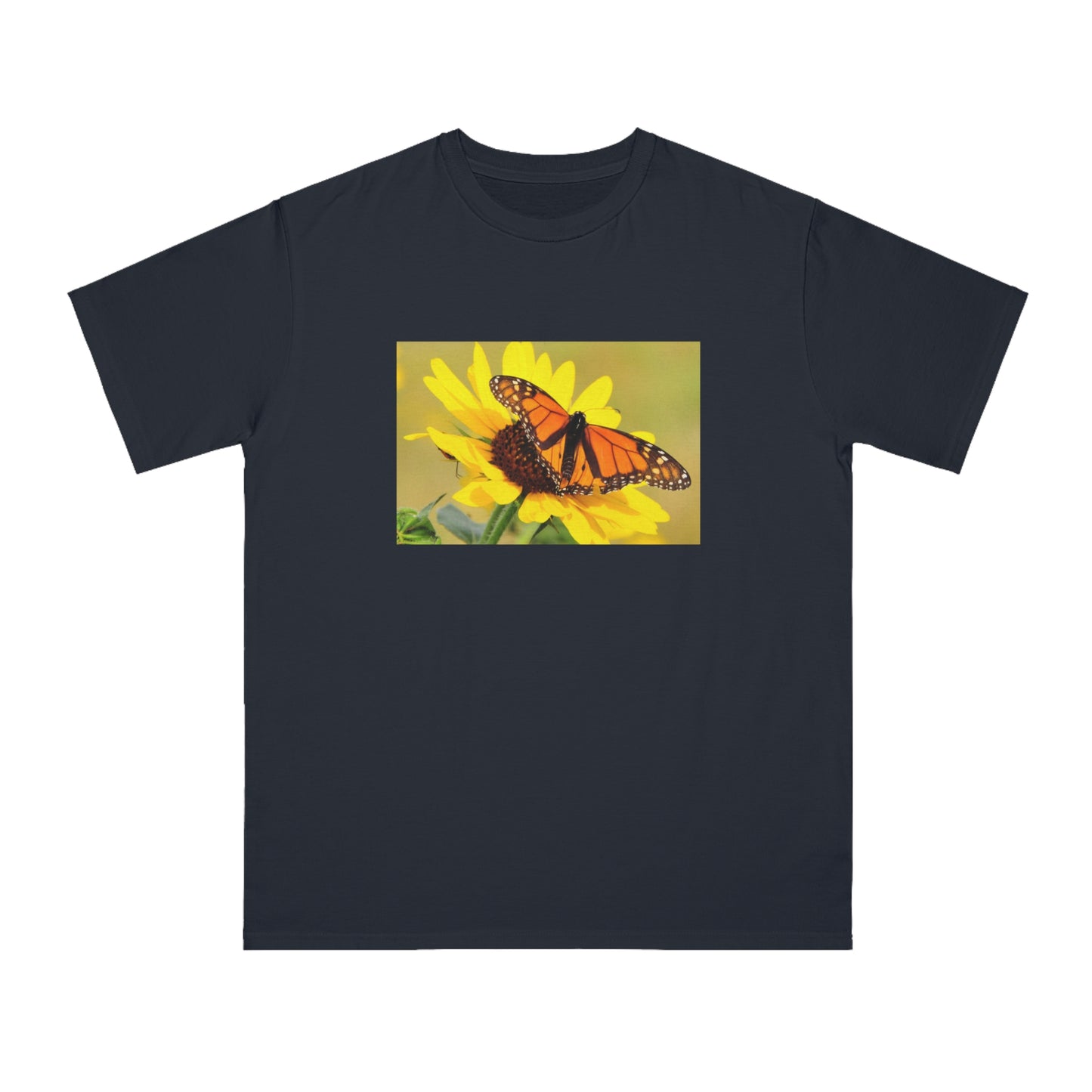 Monarch Butterfly
