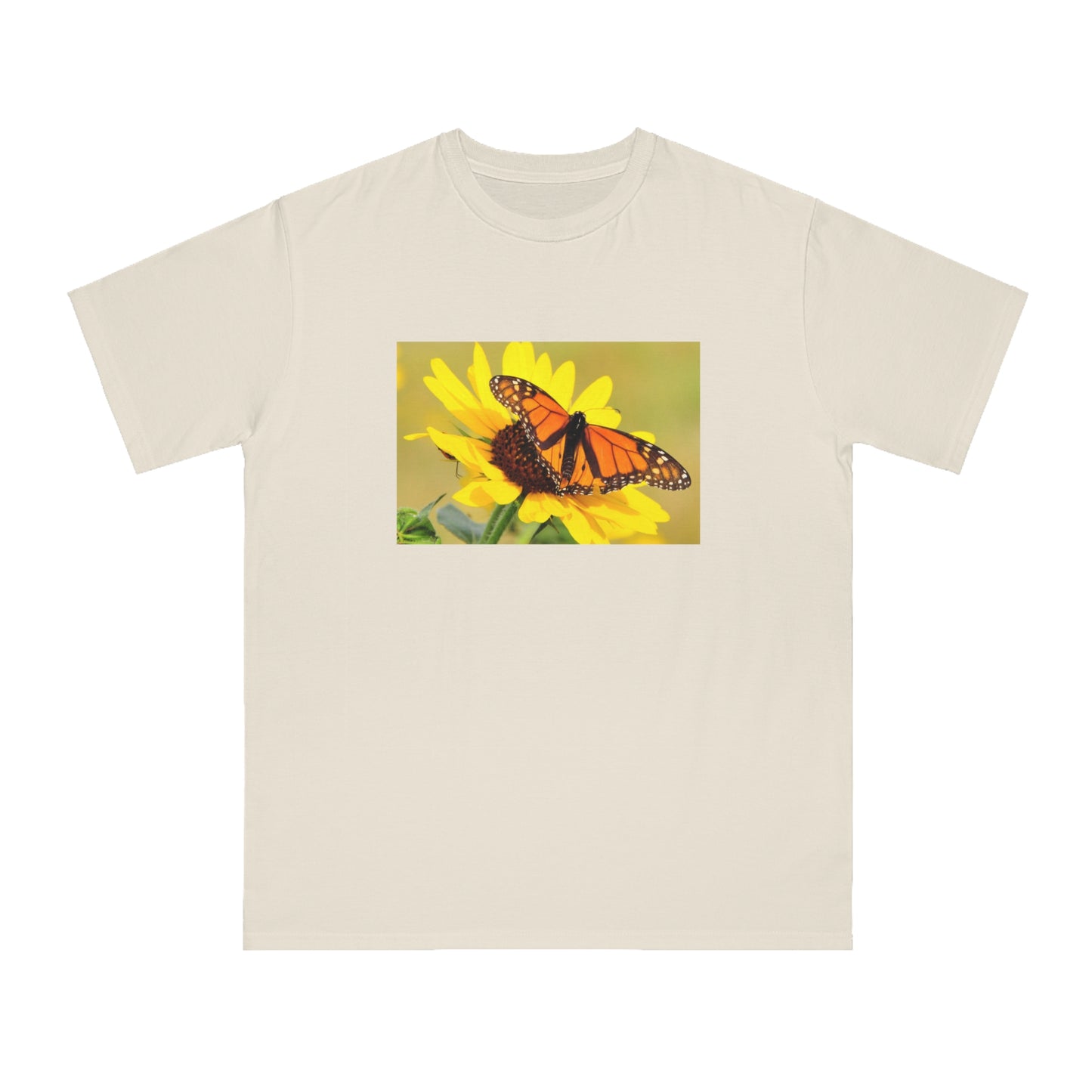 Monarch Butterfly