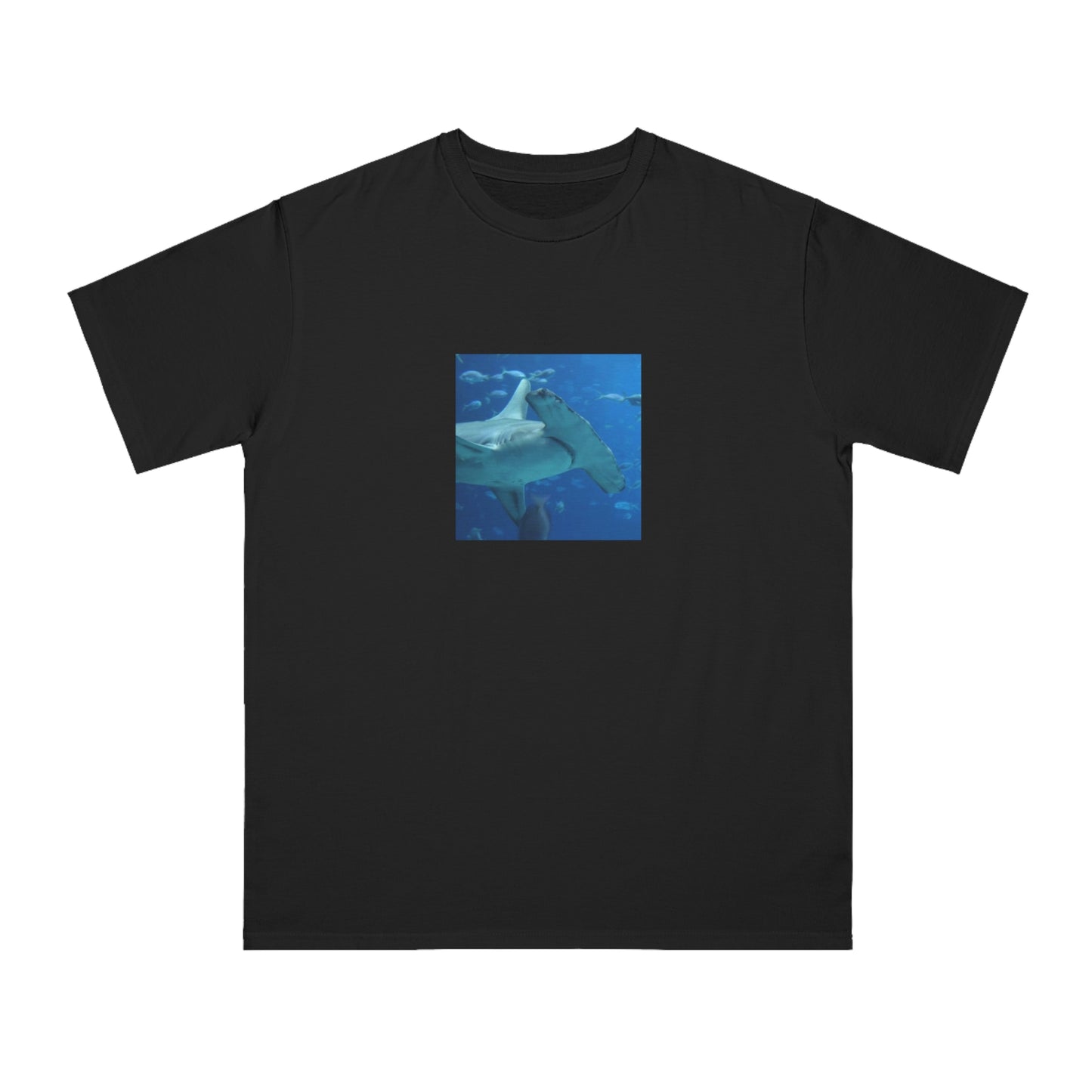 Hammerhead Shark