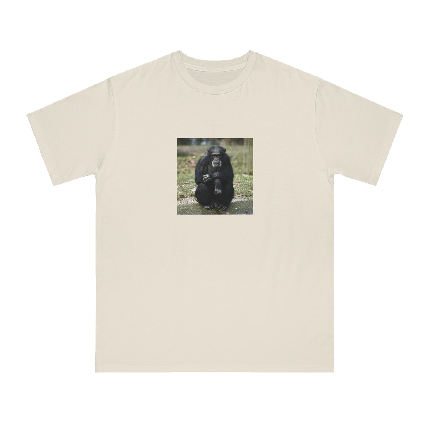 Chimpanzee