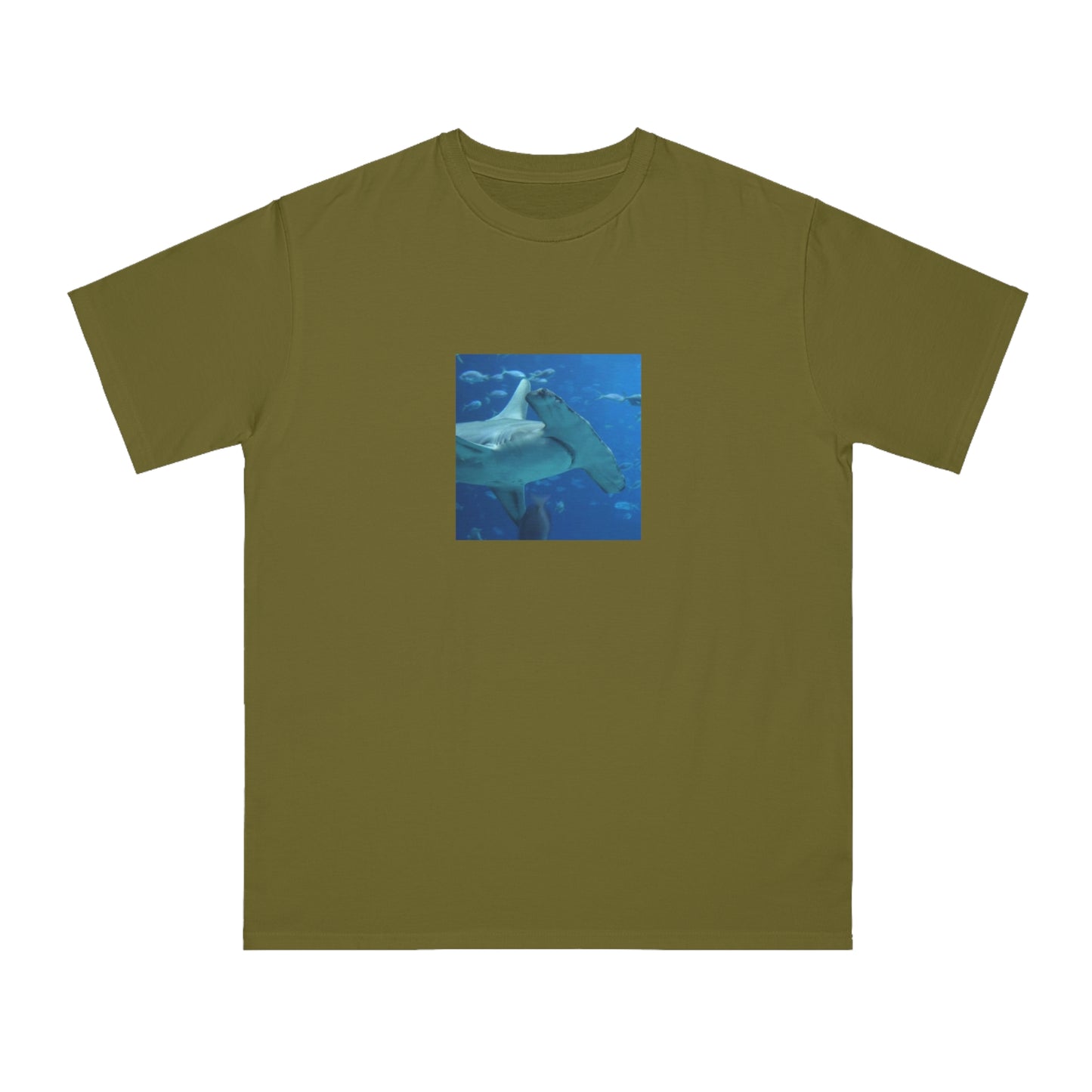 Hammerhead Shark