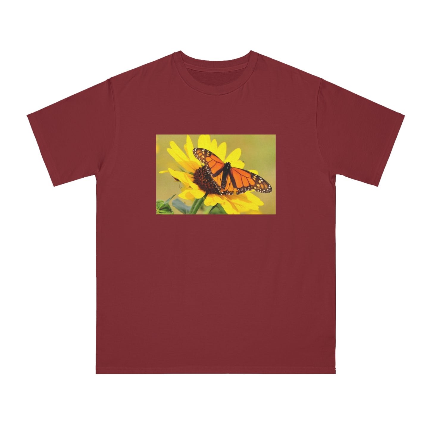 Monarch Butterfly