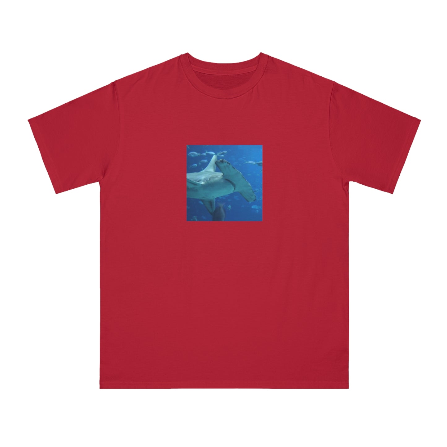 Hammerhead Shark