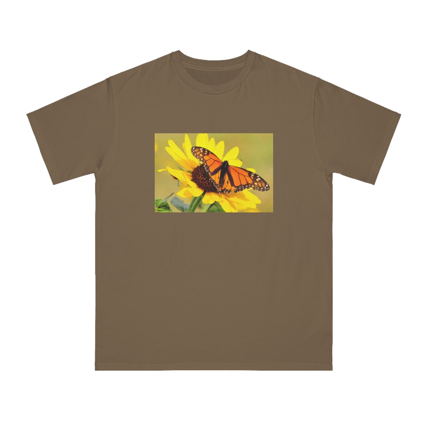 Monarch Butterfly