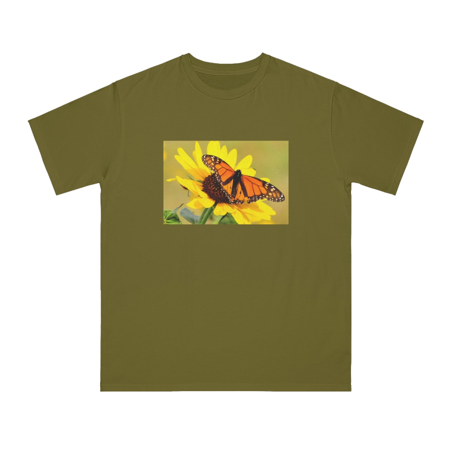Monarch Butterfly