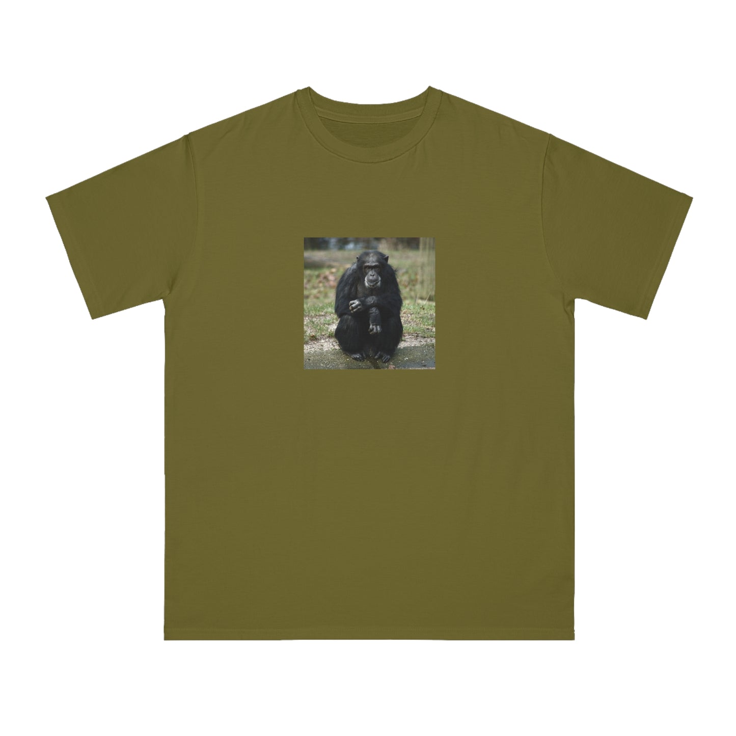Chimpanzee
