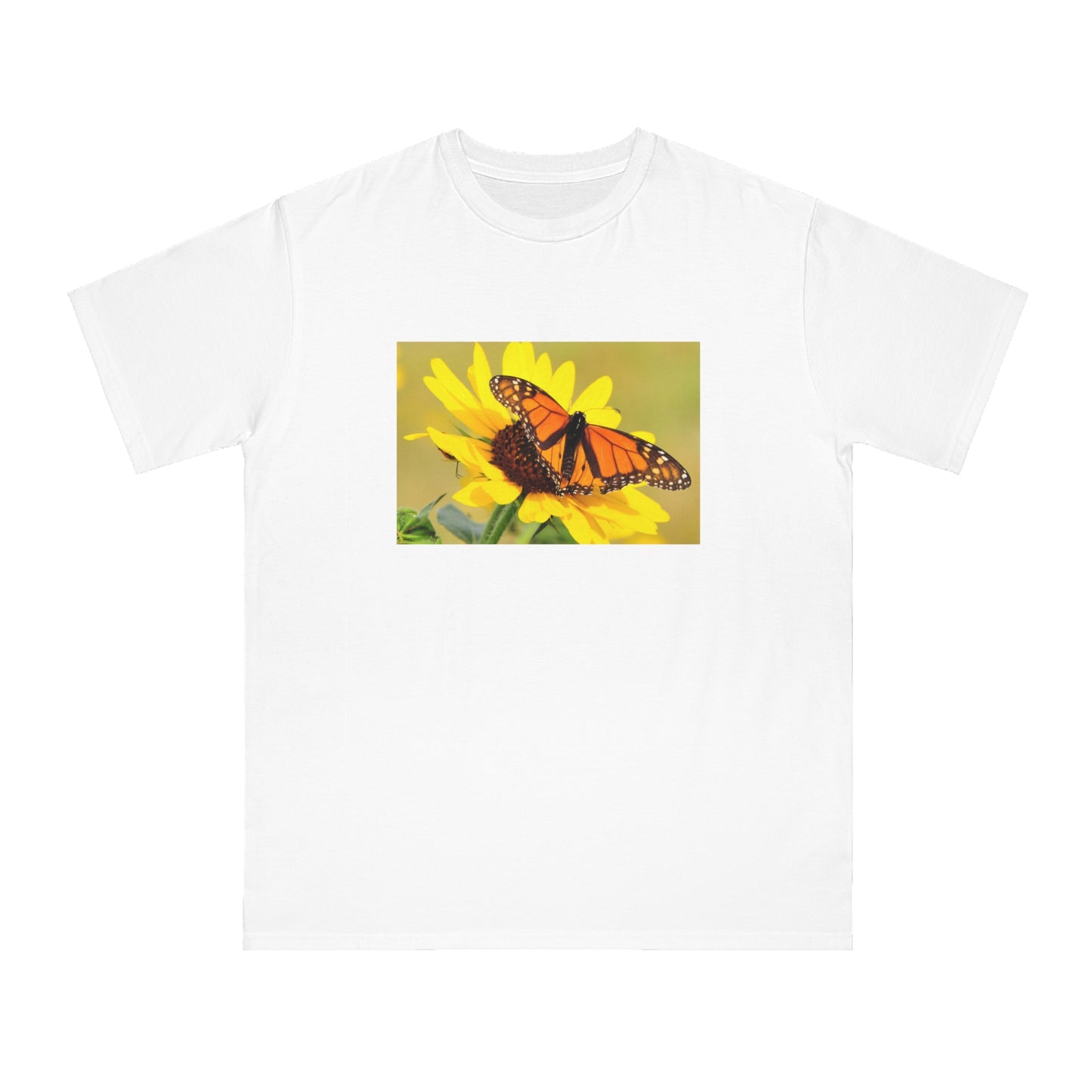 Monarch Butterfly