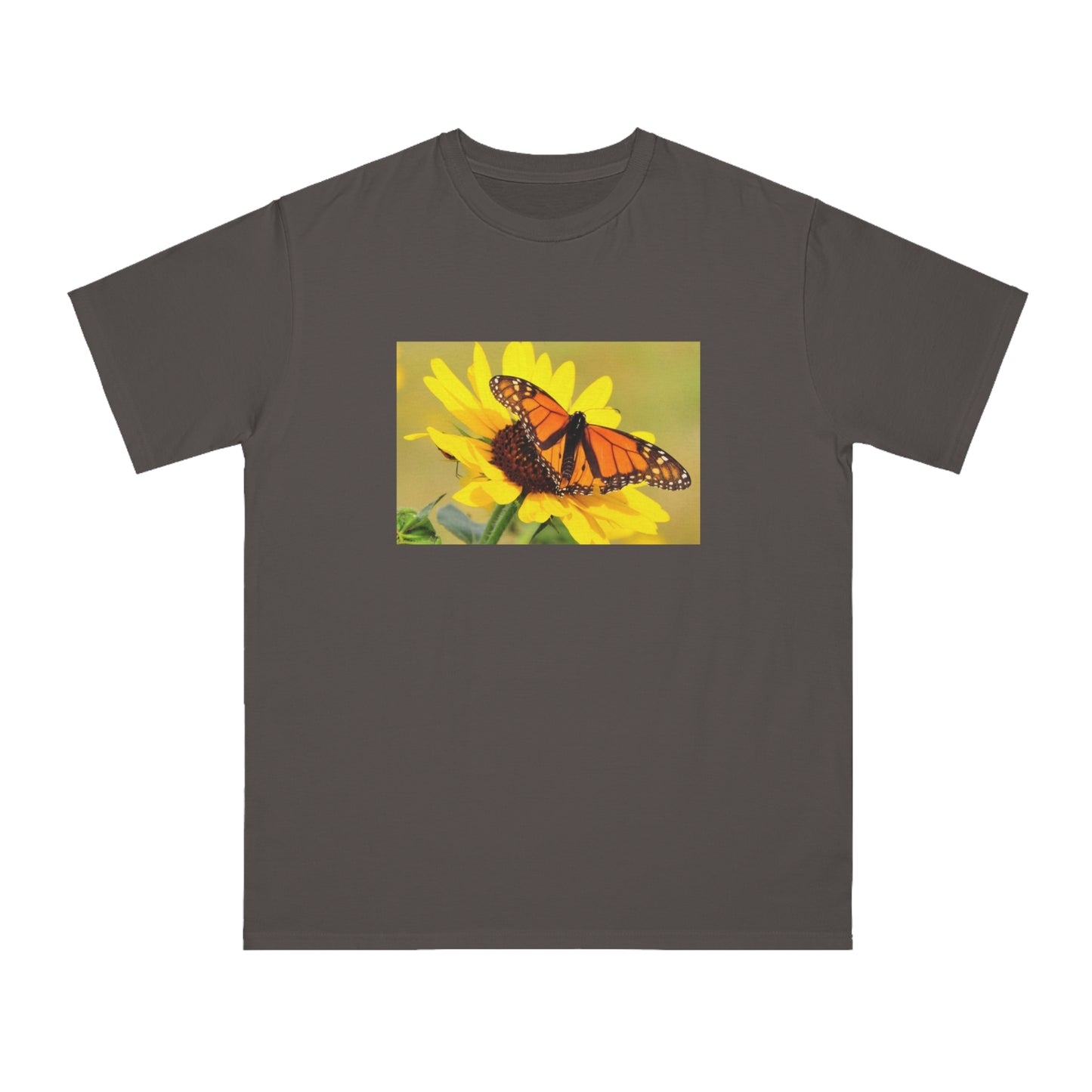 Monarch Butterfly