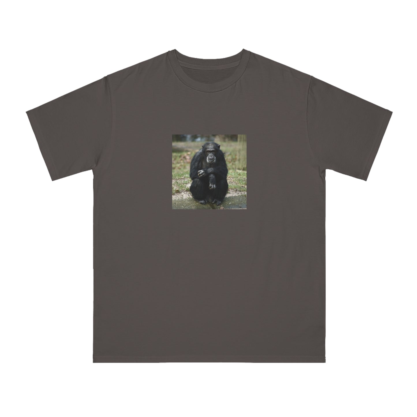 Chimpanzee